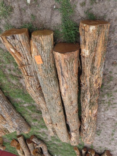 (4) Corner Hedge Posts