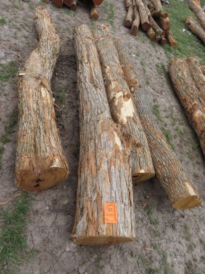 (4) Corner Hedge Posts