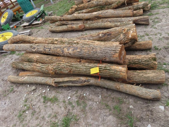 (10)  Hedge Posts