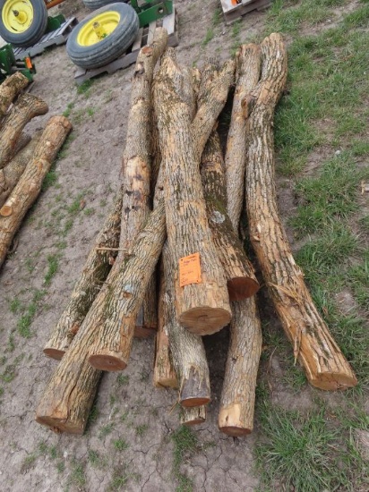 (10) Hedge Posts