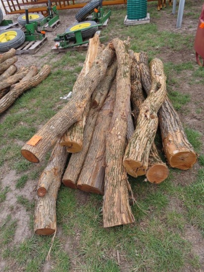 (10) Hedge Posts