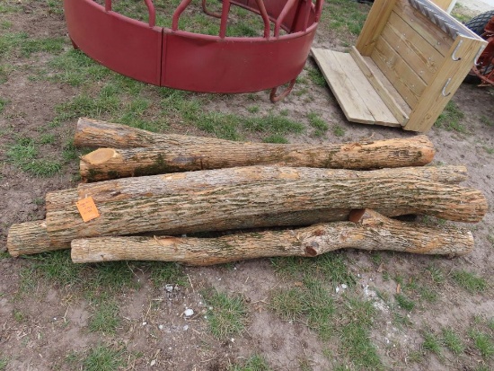 (8) Hedge Posts