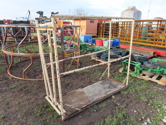 Cattle Grooming Schute