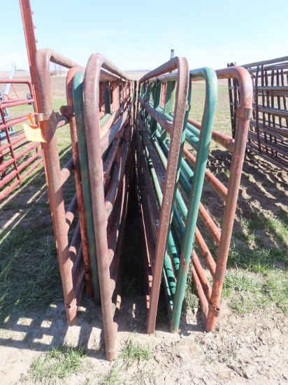 (10) 16' Pipe Gates