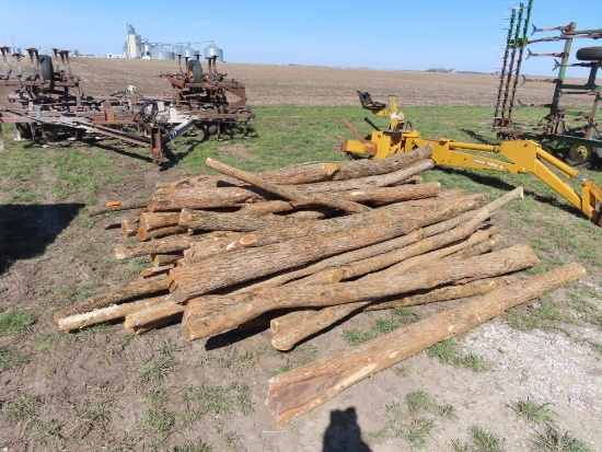 (45) Anchor and Hedge Line Posts