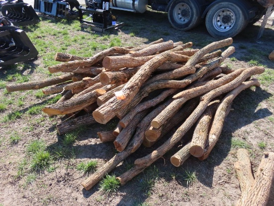 Roughly (40) Hedge Line Posts