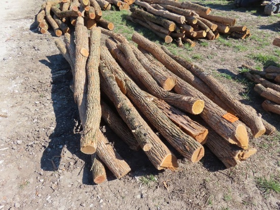 (15) Hedge Line Posts