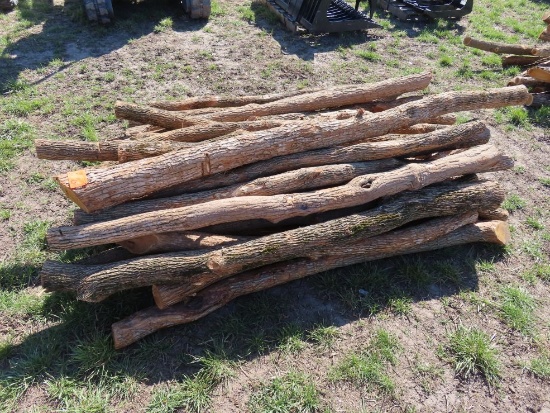 (32) Hedge Line Posts