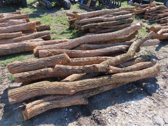 (20) Anchor Hedge Posts