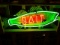 Fish - Bait Neon Porc. Sign