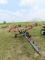 Ogden 8 Wheel Hay Rake