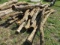 (15+) Hedge Posts