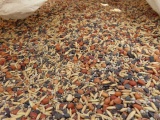 40+ Acres of Cover Crop - Bulk Bag