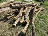 (15+) Hedge Posts