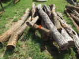 (9) Hedge Corner Posts