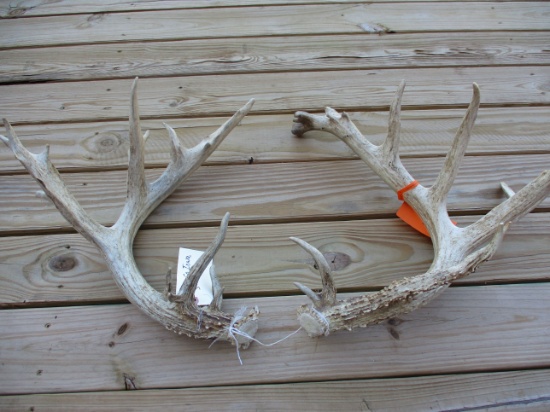 Lee County, IA Deer Sheds - 37 Point