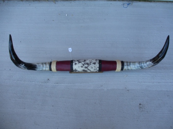 45" Longhorns