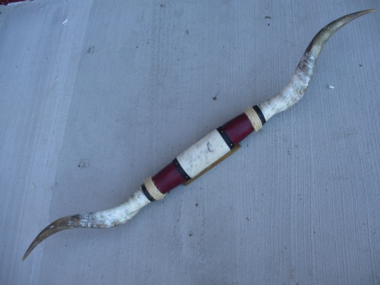 69" Longhorns
