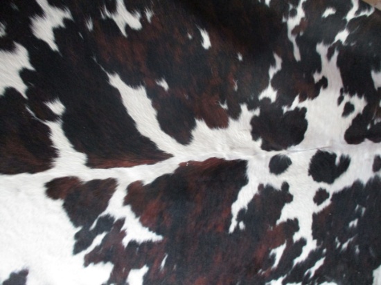 Large Cowhide Rug