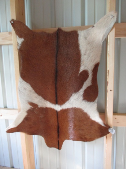 Goat Skin Rug