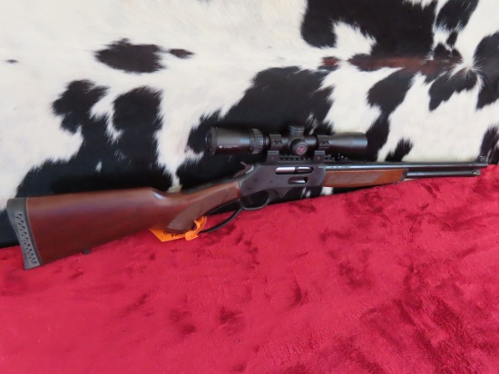 Henry .45 - 70