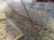 Lot of (4) Hog Panels