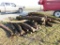 (30) Hedge Posts