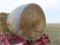 (10) Net Wrapped Round Straw Bales