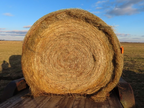 (15) Pasture Grass Round Bales