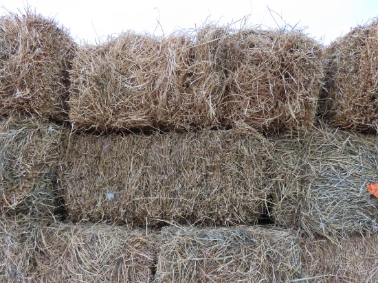 (20) Square Hay Bales