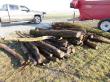 (30) Hedge Posts