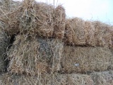 (20) Square Hay Bales