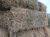 (20) Square Hay Bales