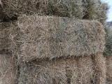 (20) Square Hay Bales