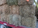 (16) Square Hay Bales