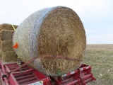 (10) Net Wrapped Round Straw Bales