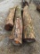 (3) Anchor Hedge Posts