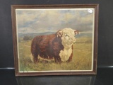 1953 Herford Short Horn Print