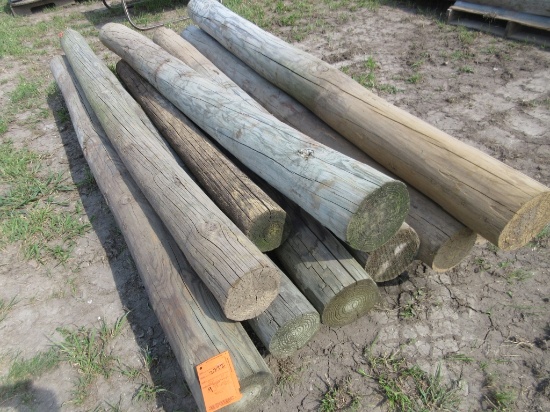 (9) 8' Treated Posts