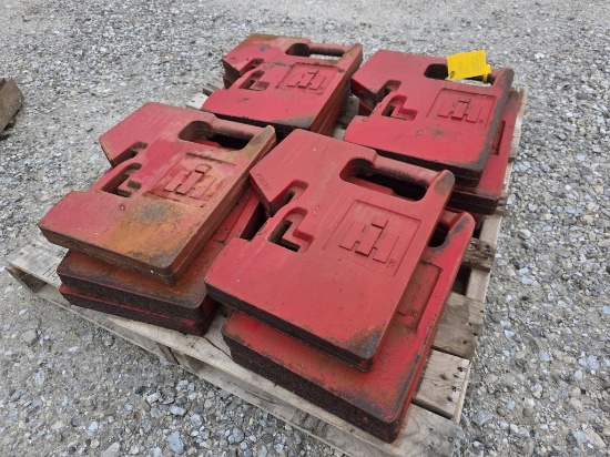 12 IH Suitcase Weights