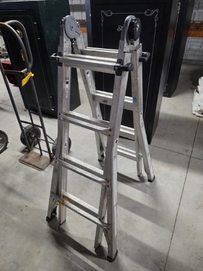 COSCO Adjustable Ladder