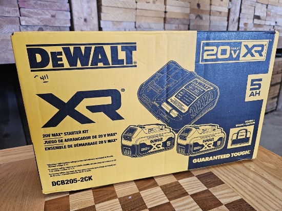 DEWALT 20V MAX XR Battery Starter Kit (Model DCB205-2CK)