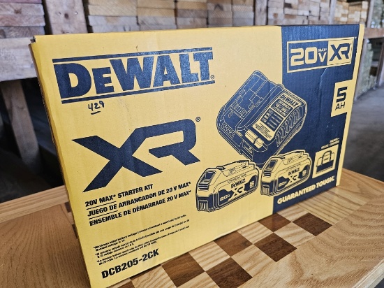 DEWALT 20V MAX XR 5.0Ah Battery Starter Kit (Model DCB205-2CK)