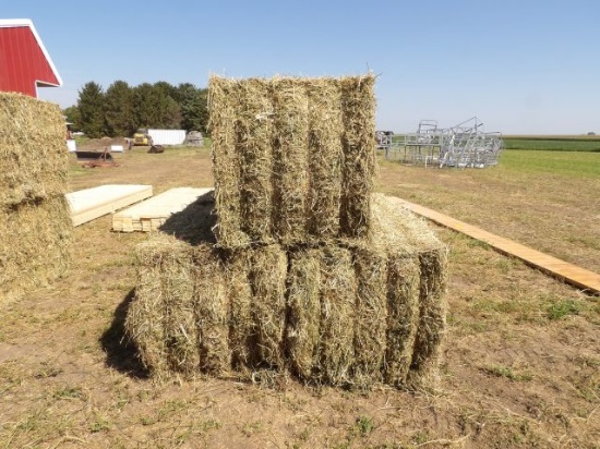LOT (3) Large Square Bales Alfalfa