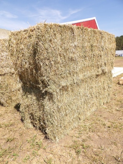 LOT (2) Large Square Bales Alfalfa