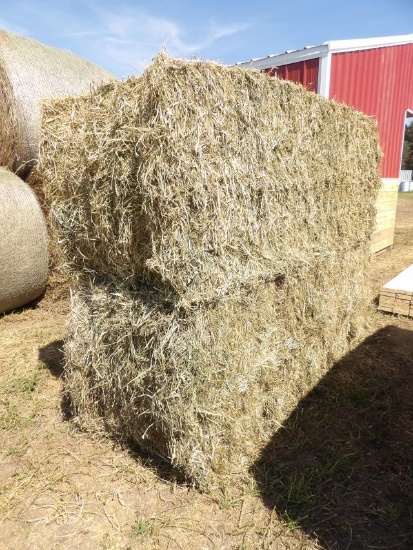 LOT (2) Large Square Bales Grass Mix