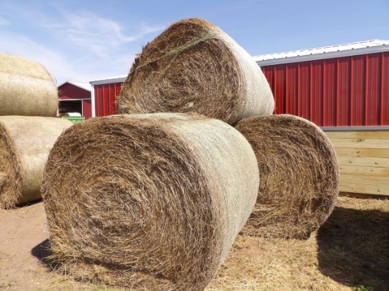 LOT (4) Round Bales of Hay Alfalfa / Grass Mix