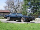 1981 Pontiac Firebird Trans Am