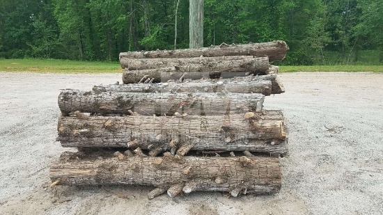 QTY OF CYPRESS LOGS USED FOR SPLIT RAILS OR TIMBER