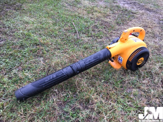 (UNUSED) POULAN PRO BLOWER, MODEL BVM200FE